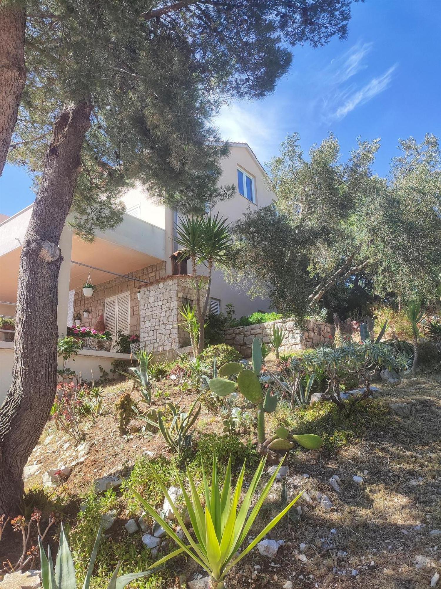 Apartments Vesna Lastovo Екстер'єр фото